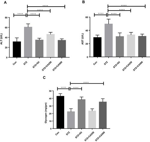 Figure 4 Efficacy of CA on liver functions (A) ALT, (B) AST, and (C) glycogen in the STZ-induced diabetic rats. Data are expressed as means ± S.E.M.; ****p ≤ 0.00001 vs control or STZ-induced diabetic rats (n=6).