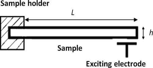 Figure 1. Schematic view of the reed mounted in free-clamped mode and the electrod exciting the flexural vibrations.