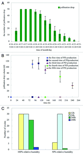 Figure 5. Characteristics of PD production in G. biloba. (A) Number of PDs on 50 ovules at different times; (B) Formation times of PDs and PD volume after removal and reformation (first time indicates when PD became detectable). (C) Number of PDs on 30 ovules at different relative humidity.