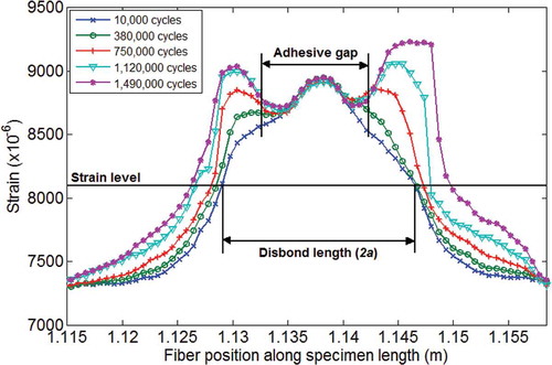 Figure 4. Evolution of strain distribution for one region of the CCP specimen.