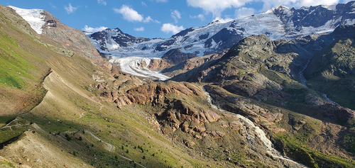 Figure 1. Foreland of the Forni Glacier, Italy. The length (about 3 km) and the width (see the lateral moraine on the left) of the foreland offers a wide substrate open to the colonization of biocoenosis. Photo: Mauro Gobbi.
