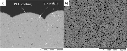 Figure 5. PEO layer formed on the sample: (a) cross-section with a visible pattern of the casting and silicon crystals; (b) the porous surface of the coated sample with uniformly deposited pores.