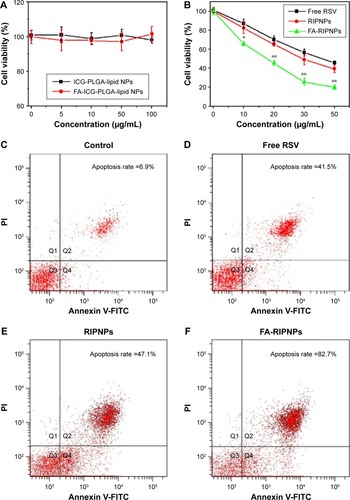 Figure 6 In vitro tumor therapy.Notes: (A) Cytotoxicity of ICG-PLGA-lipid NPs and FA-ICG-PLGA-lipid NPs. (B) Cytotoxicity of free RSV, RIPNPs and FA-RIPNPs at the same concentration of RSV. *P<0.05, **P<0.01. (C–F) Flow cytometry analysis of U87 cells treated with (C) saline, (D) free RSV, (E) RIPNPs and (F) FA-RIPNPs at the same concentration of RSV. The cells in Q2 + Q4 regions are defined as apoptotic cells.Abbreviations: RSV, resveratrol; ICG, indocyanine green; FA, folic acid; PLGA, poly(d,l-lactide-co-glycolide); NPs, nanoparticles; FA-RIPNPs, FA-RSV/ICG-PLGA-lipid NPs; FITC, fluorescein isothiocyanate; PI, propidium iodide.