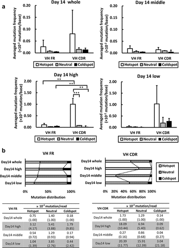 Figure 5. Comparison of AID hotspot mutations in HC among populations exhibiting different antigen reactivities.