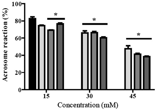 Figure 2. Acrosome reaction in mouse sperm exposed to N-alkyl oxamates prodrugs after capacitating. Bars represent percentage of mouse sperm with induced acrosome reaction with 10 µM calcium ionophore A23187 after 30 min of incubation in absence and presence of N-alkyl oxamate prodrugs. ▪ control, ▪ N-ethyl oxamate ethyl ester (NEOXet), ▪ N-propyl oxamate ethyl ester (NPOXet), ▪ N-butyl oxamate ethyl ester (NBOXet). Values are expressed as mean ± SEM (n = 3). Data analysis was performed using Dunnett’s multiple comparison test, p < 0.05. *: means significant difference.