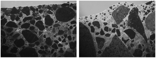 Figure 8. Examples of the studied thin section under the fluorescence light (P02 and P06).