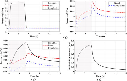 Figure 2. Time evolution of fluid pressures in different compartments at the injection point (a) as well as 10 mm below injection point (b), and vertical displacement on the top surface above the injection point (c) for an injected volume of 2 mL. The left figure in (a) shows the pressures in all compartments at the injection point, while the right figure shows the pressures in blood vessels and lymphatic vessels at the injection point (zoomed in). The shadow areas denote the injection time interval in all panels.