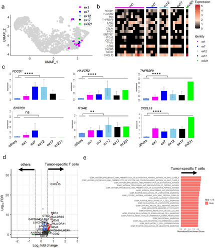 Figure 3. Gene expression analysis of tumor-specific CD8+ T cells from MPE.