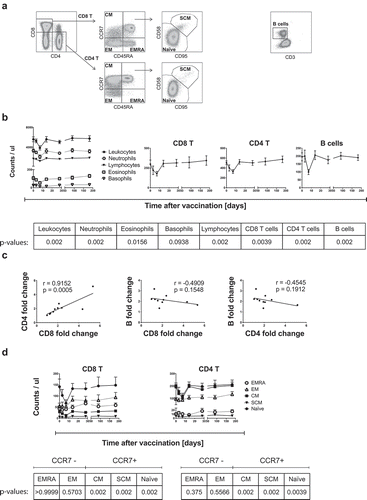 Figure 1. Circulating CCR7-expressing CD8 and CD4 T cells transiently decrease after primary YF-17D vaccination