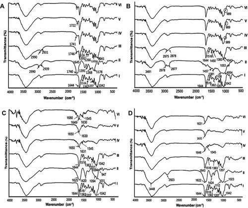 Figure 1 FT-IR spectra.