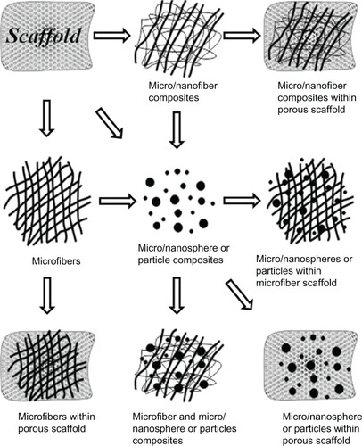 Figure 1 Polymer composite scaffolds prepared with incorporation of micro/nanospheres or micro/nanofibers.