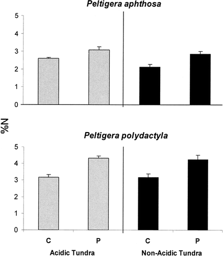 FIGURE 3. Nitrogen concentrations in Peltigera aphthosa and P. polydactyla from control (C) and phosphorus (P) treatments on acidic and non-acidic tundra. Values are means with standard error bars (n = 3)