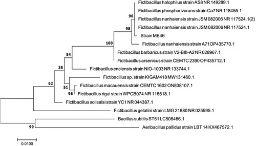 Figure 1. The phylogenetic tree of the 16S rRNA gene sequence showed that strain ME46 belongs to F. nanhaiensis. The Genbank accession number of each species is at the end.