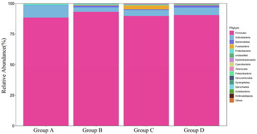 Figure 1. The abundance of faecal flora of Xuefeng black-bone chicken at phylum level. Group A: 0 mg/kg palygorskite and probiotics complex (Pal–Pro); group B: 250 mg/kg Pal–Pro; group C: 500 mg/kg Pal–Pro; group D: 750 mg/kg Pal–Pro.