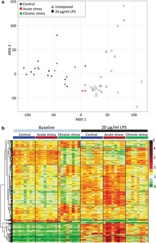 Figure 1. The impact of early life stress on transcriptional response to LPS. (a) Multidimensional scaling analysis illustrating the very significant effect of exposure to 20 µg/ml LPS on the entire gill transcriptome (78,229 putative loci) of fish from all stress treatment groups. (b) Heat map illustrating the expression of all genes for which a significant interaction between acute and/or chronic stress and LPS response was identified (516 genes), in all baseline and LPS-exposed fish. Data presented are read counts for each individual normalised by library size, and by mean expression for each gene. Hierarchical clustering was performed using an Euclidian distance metric.