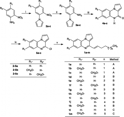 Scheme 1 Synthesis of 4-(E)-alkenylpyrrolo[1,2-a]quinoxaline derivatives 1a–m. Reagents and conditions: (i) DMTHF, AcOH, Δ; (ii) CuSO4, NaBH4, EtOH, RT; (iii) CO(OCCl3)2, toluene, Δ; (iv) POCl3, Δ; (v) Method A: CH3(CH2)3CH = CH-B(O-C(CH3)2-)2, KOH; Pd[P(C6H5)3]4, C6H6, Δ; Method B: CH3(CH2)4-6CH = CH-B(OH)2, Pd[P(C6H5)3]4, Na2CO3, C6H6, EtOH, Δ.; Method C: CH3(CH2)7CH = CH-BF3K, PdCl2(dppf)·CH2Cl2, Cs2CO3, THF-H2O, Δ.