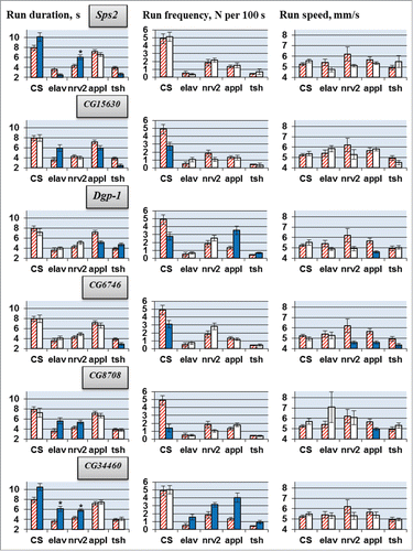 Figure 1. Locomotion parameters in flies with tissue-specific knockdown of the candidate genes (VDRC RNAi lines). GAL4/UAS-RNAi flies with spatially restricted knockdown (second column for each driver) derived by crossing elav/nrv2/appl/tsh-GAL4 drivers with VDRC RNAi lines. GAL4 controls without UAS-RNAi transgene (first, hatched columns) originate from cross of the same GAL4 drivers with host strain #60100 and are specific for each GAL4 driver. Also presented are locomotion parameters in UAS-RNAi controls descended from cross of CSBDSC with VDRC RNAi line for a gene indicated (CS, second columns) and in flies derived by crossing CSBDSC with host strain #60100 (CS, first, hatched column). Mean values with standard errors are shown. N = 40 for each data point. Significant difference from a corresponding control is indicated by filling (2-sided randomization test, 10,000 iterations, P < 0.05). Comparisons excluded from consideration (see text) are marked with asterisk. For details of genotypes see Methods and Table 2.
