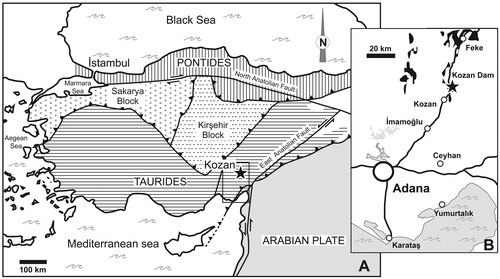 Figure 1. Simplified tectonic map of Turkey showing (A) major terranes and (B) location of the studied section (black star) (after Yalçin & Yılmaz, Citation2010, modified). Devonian outcrops are figured in black.