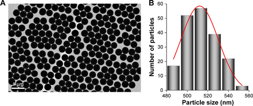 Figure S1 (A) Transmission electron microscopy image of the synthesized silica nanoparticles, and (B) histogram of particle size distribution (mean size: 512±18 nm).