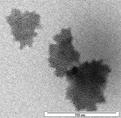 Fig. 11. Electron micrographs of the water redispersed system with 10% PalBu.