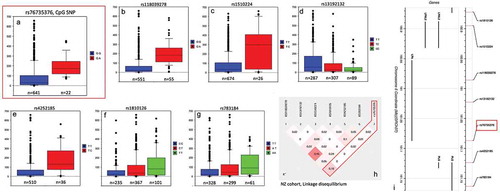 Figure 3. Box and Whisker plots of significant plasma Lp(a) SNP associations in a New Zealand cohort.