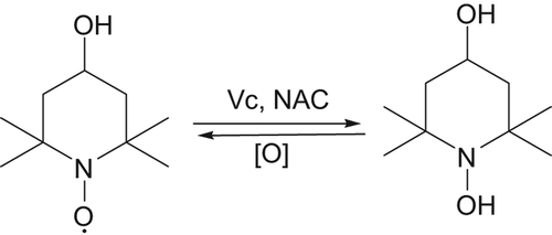 Figure 3. The reaction of ascorbate with TEMPO.