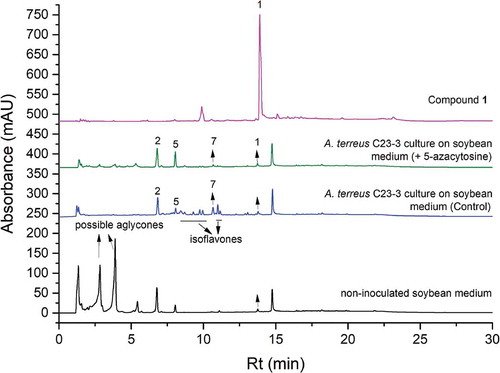 Figure 4. The HPLC spectra (detected under 254 nm) of compound 1 and the extracts of A. terreus C23-3 culture on soybean medium with 5-azacytosine (the main fermentation), A. terreus C23-3 culture on soybean medium (control), and non-inoculated soybean medium. (1: psoralenone; 2: genistein; 5: biochanin A; 7: butyrolactone I).
