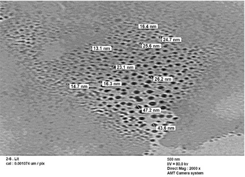 Figure 3 TEM image for selenium nanoparticles synthesized by using compound 2b at room temperature.Abbreviation: TEM, transmission electron microscope.