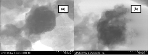 Figure 8. TEM micrograph of (a) MLH–MPP nanocomposite and (b) MLH–MPP/chitosan nanocomposite at 300k magnification.