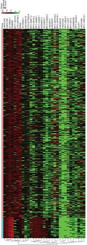 Figure 1 Hierarchical cluster dendrogram of selected 31 lncRNAs from TCGA LUAD RNA-seq dataset. The left vertical axis shows clusters of lncRNAs. The red rectangular strip in the upper portion of the picture represents normal tissue samples, and the light blue rectangular strip denotes LUAD samples. Red rectangles represent overexpressed genes, and green rectangles represent under-expressed lncRNAs. Black rectangles represent median-expressed lncRNAs.Abbreviations: TCGA, The Cancer Genome Atlas; LUAD, lung adenocarcinoma; RNA-seq, RNA sequencing.