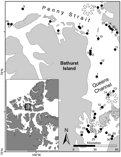 Fig. 1  Overview of study area. Numbers correspond to islands in Table 1. Approximate centres of recurring polynyas are indicated by asterisks.