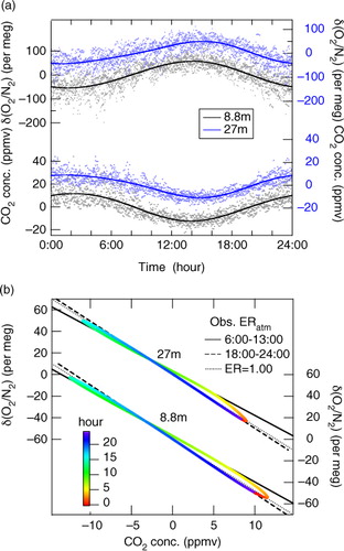 Fig. 7 (a) Plots of diurnal cycle component values of δ(O2/N2) and CO2 concentration observed at 8.8 and 27 m heights for the period 4 August–4 September 2012, and their best-fit curves, and (b) relationships between the best-fit curves of the two variables. In (b), the colour scale denotes the time of the day, and black solid, dashed and dotted lines indicate the relationships derived from the data for the periods 6:00–13:00 and 18:00–24:00 and expected from the exchange ratio of 1.00, respectively.