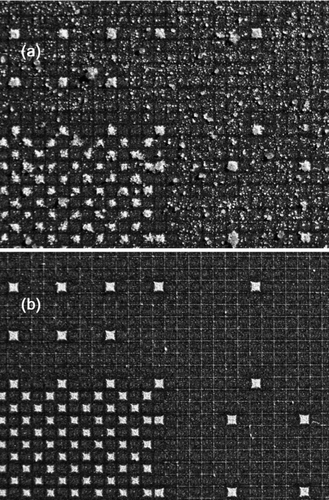 FIG. 12 Four different deposition patterns of micro particles on each chip surface (checkerboard, 1 of 16, 1 of 36, 1 of 64). (a) high degree of contamination; particles with a wide size distribution and a mean diameter of 15.6 μm were used; (b) almost free of contamination; particles with a narrow size distribution and a mean diameter of 2.3 μm were used.