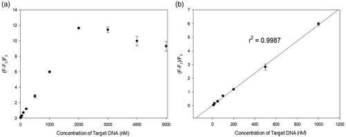 Figure 4. Detection sensitivity of the new sensor. (a) Signal-to-background ratios and (b) linear range of the plot of (F−F0)/F0 versus target DNA concentration (0–1000 nM). The final concentrations of S1 and S2 were 2 μM.