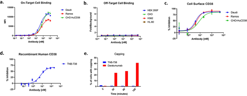 Figure 2. TNB-738 binds to CD38 and inhibits CD38 enzyme activity. a) On-target cell binding of TNB-738 was assessed by flow cytometry using Daudi, Ramos, and CHO-HuCD38 cells. b) Off-target cell binding of TNB-738 was assessed by flow cytometry using 293 F, CHO, K562, and HL-60 cells. c) TNB-738-mediated CD38 inhibition was evaluated on Daudi, Ramos, and CHO cells and (d) recombinant CD38 protein. e) Cells were incubated with antibodies at 37°C for 2 hours and the percentage of cells with capping was determined using confocal microscopy. In total, 100 cells were counted.