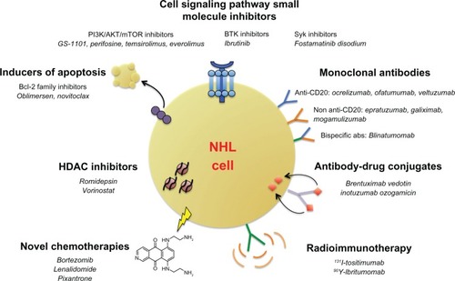 Figure 2 Emerging therapeutic options in relapsed/refractory NHL. Numerous novel classes of drugs are emerging as therapeutic options in relapsed or refractory NHL. These classes include monoclonal antibodies (both next-generation anti-CD20 and non-anti-CD20 antibodies), antibody–drug conjugates, antibodies conjugated to radioactive isotopes, small-molecule inhibitors of key cell-signaling and apoptotic pathways, HDAC inhibitors, and toxicity-reducing chemotherapies.Abbreviations: abs, antibodies; Bcl-2, B-cell lymphoma 2; BTK, Bruton tyrosine kinase; HDAC, histone deacetylase; mTOR, mammalian target of rapamycin; NHL, non-Hodgkin’s lymphoma; Syk, spleen tyrosine kinase; PI3K, phosphoinositide 3-kinase.