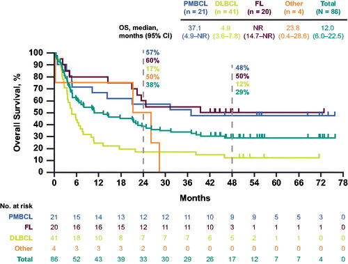 Figure 3. Kaplan–Meier estimate of overall survival in cohort 4. DLBCL: diffuse large B-cell lymphoma; FL: follicular lymphoma; NR: not reached; OS: overall survival; PMBCL: primary mediastinal B-cell lymphoma.