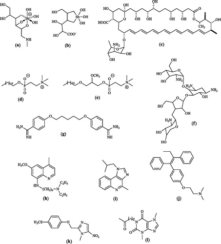 Figure 1. First and second line or synergistic agents to treat leishmaniasis: (a) meglumine antimoniate (predominant species in aqueous solution); (b) sodium stibogluconate (predominant species in aqueous solution); (c) amphotericin B; (d) miltefosine; (e) edelfosine; (f) paromomycin; (g) pentamidine; (h) sitamaquine; (i) imiquimod; (j) tamoxifene; (k) fexinidazole; (l) pentoxyphylline.