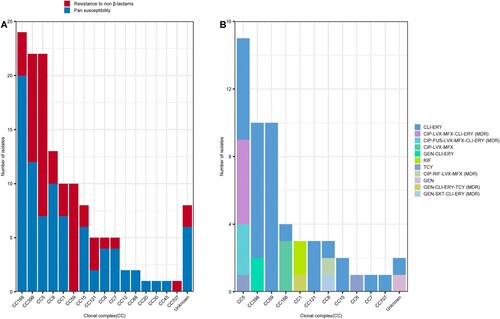 Figure 3. Relationship between CCs and antimicrobial resistance phenotype detected among the 129 MSSA-PENS-blaZnegative isolates. (A) Pan-susceptible strains or isolates resistant to non-β-lactams detected among the different CCs. (B) CCs detected among isolates showing resistance to non-β-lactams and the antimicrobial resistance phenotype identified in those isolates. CLI-ERY, clindamycin-erythromycin resistance; CIP-LVX-MFX-CLI-ERY, ciprofloxacin-levofloxacin-moxifloxacin-clindamycin-erythromycin resistance; CIP-FUS-LVX-MFX-CLI-ERY, ciprofloxacin fusidic acid-levofloxacin-moxifloxacin-clindamycin-erythromycin resistance; CIP-LVX-MFX, ciprofloxacin-levofloxacin-moxifloxacin resistance; GEN-CLI-ERY, gentamicin-clindamycin-erythromycin resistance; RIF, rifampin resistance; TCY, tetracycline resistance; CIP-RIF-LVX-MFX, ciprofloxacin-rifampin-levofloxacin-moxifloxacin resistance; GEN, gentamicin resistance; GEN-CLI-ERY-TCY, gentamicin-clindamycin-erythromycin-tetracycline resistance; GEN-SXT-CLI-ERY, gentamicin-sulfamethoxazole/trimethoprim-clindamycin-erythromycin resistance; MDR, multi-drug resistance.