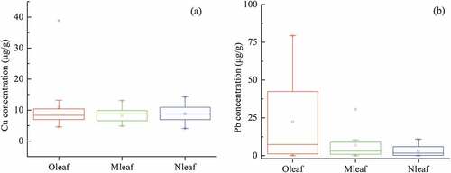 Figure 1. Heavy metal contents in corn leaves (O, M, N) stressed by different (a) Cu concentrations and (b) Pb concentrations