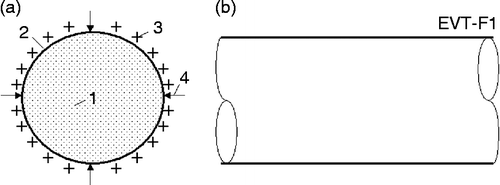 Figure 3 Electronic vacuum AB tube. (a) Cross section of tube. (b) Side view. Notations: 1, internal part of tube filled by free electrons; 2, insulator envelope of tube; 3, positive charges on the outer surface of envelope (over this may be an additional film insulator) and 4, atmospheric pressure.