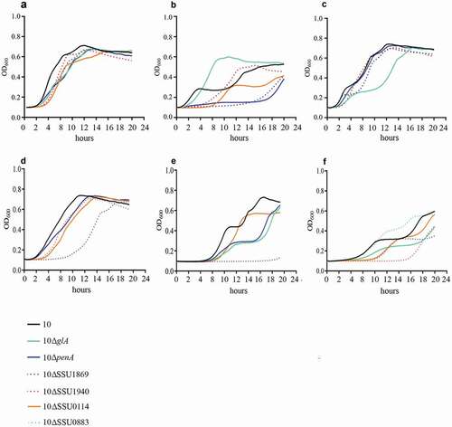 Figure 4. Growth curve of S. suis strain 10 and mutant derivatives under different environmental conditions. Bacteria were cultured in THB medium (a, d, e, f) at 37̊C, (b) at 42̊C and (c) at 34̊C in presence of (d) 5 mM NaF, (e) 2 mM H2O2 and (f) 1 mM of Bipyridyl, and the optical density at 600 nm (OD600) was measured every 20 minutes over a time course of 18 hours.