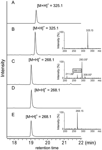 Fig. 4. LC-ESI-MS analysis of products accumulated in the culture broth of the res5 disruptant and S. lividans carrying the res gene cluster.