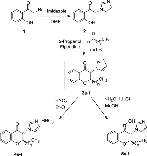 Scheme 1. Synthesis of chromanone derivatives (4a–f) and chromanone (Z)-oxime (5a–f).