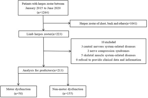 Figure 1 Flow of patients through this retrospective study.