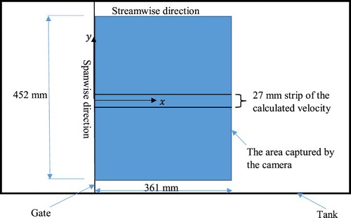 Figure 2. Sketch of the area captured by the camera and the central strip over which the velocity profile is averaged.