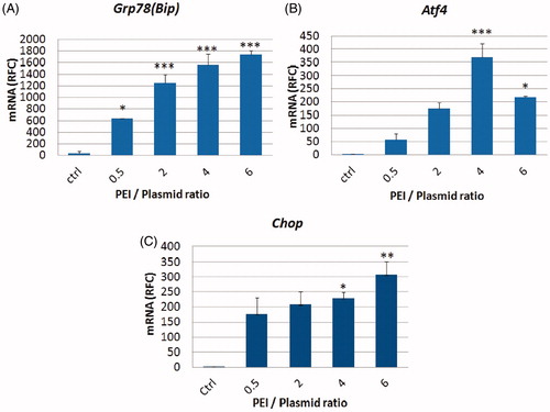 Figure 6. Transcription level of ER-stress genes in Neuro2A cells incubated with different PEI/plasmid ratios. A) Grp78; B) Atf4; and C) Chop mRNA levels were assessed by real-time RT-PCR. The results are normalized against β-act as a housekeeping gene and are shown as means ± SEM. *: p < .05 and ***: p < .001 compared to control group, RFC: relative fold change; Treatments were performed in triplicates.