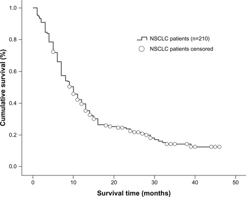 Figure 1 Kaplan–Meier curve illustrating overall survival of all NSCLC patients.