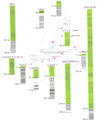 Figure 5. Variation of thicknesses of the Quaternary sediments (compressible layers) in Mornag plain (Farhat 2011). Source: Author