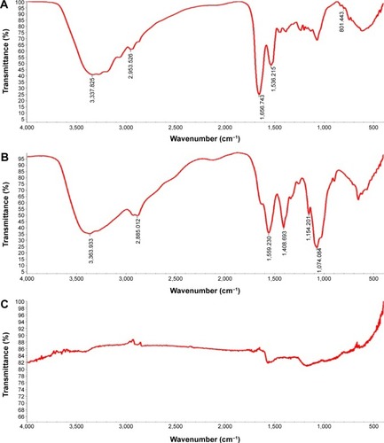 Figure 4 FTIR spectra of MWCNTs-TC, MWCNTs-CS, and p-MWCNTs.Notes: (A) MWCNTs-TC, (B) MWCNTs-CS, and (C) p-MWCNTs.Abbreviations: FTIR, Fourier transform infrared spectroscopy; MWCNTs-TC, transactivator of transcription–chitosan-conjugated multiwalled carbon nanotubes; MWCNTs-CS, chitosan-conjugated multiwalled carbon nanotubes; p-MWCNTs, pristine multiwalled carbon nanotubes.